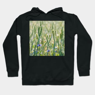 Cornflowers in a wheat field Hoodie